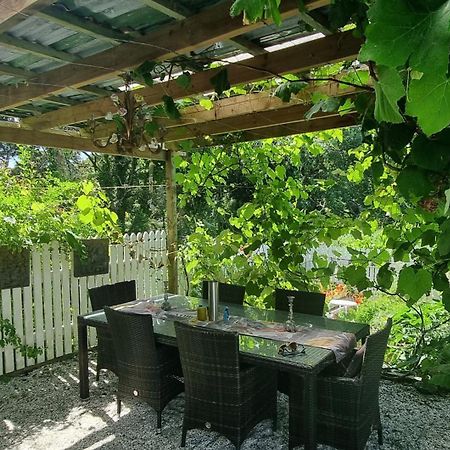 Pheasant Lodge Paparoa Luaran gambar