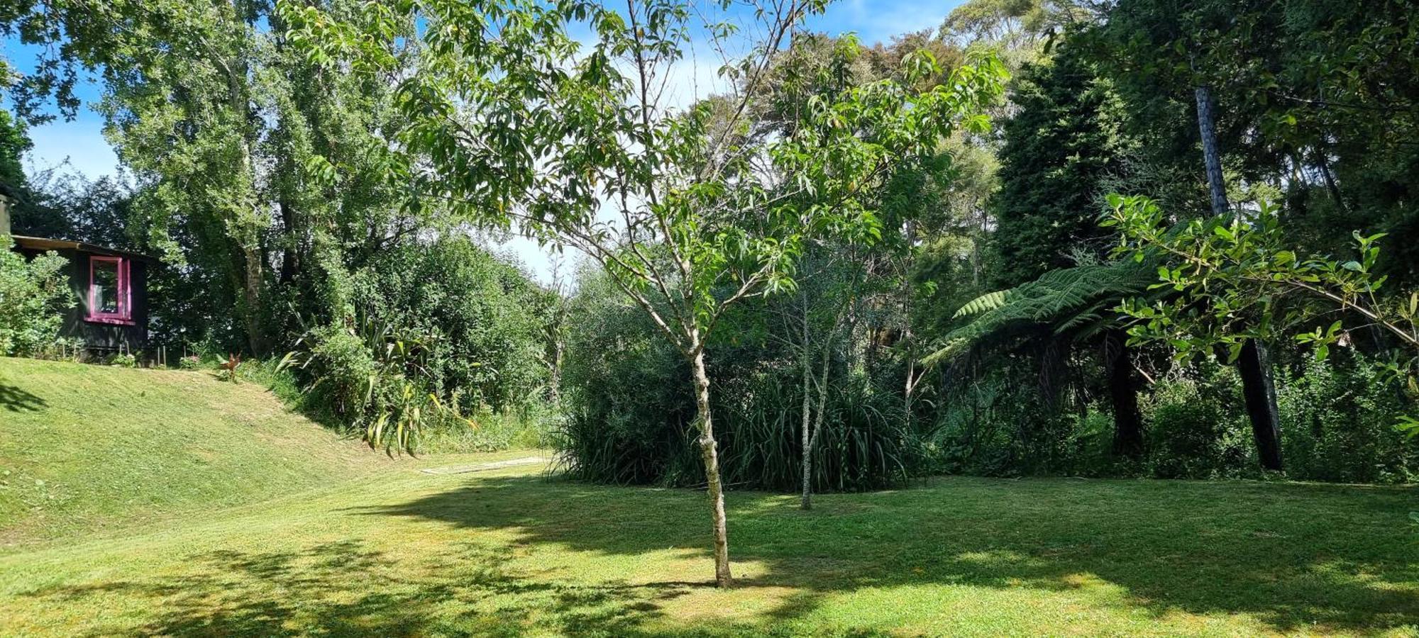 Pheasant Lodge Paparoa Luaran gambar